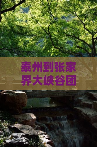 泰州到张家界大峡谷团体旅游攻略