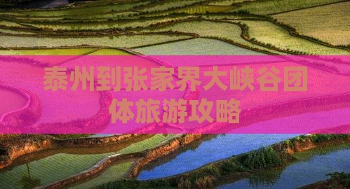 泰州到张家界大峡谷团体旅游攻略