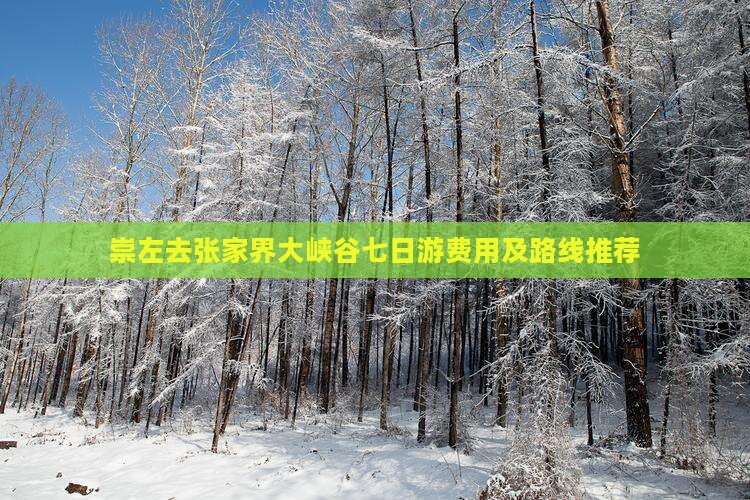 崇左去张家界大峡谷七日游费用及路线推荐