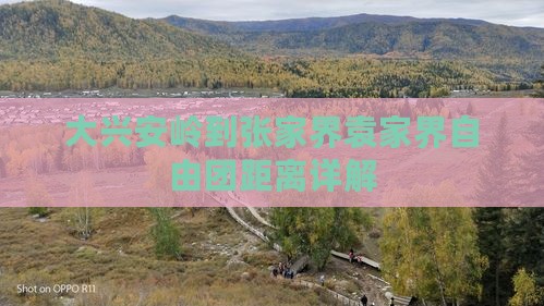 大兴安岭到张家界袁家界自由团距离详解