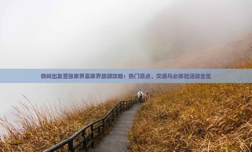 铁岭出发至张家界袁家界旅游攻略：热门景点、交通与必体验活动全览