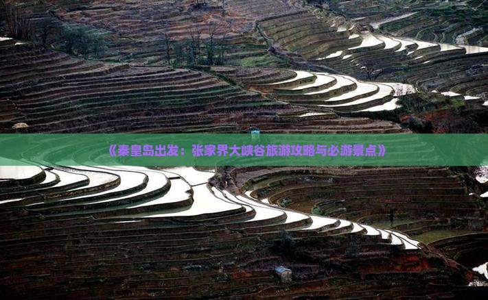 《秦皇岛出发：张家界大峡谷旅游攻略与必游景点》