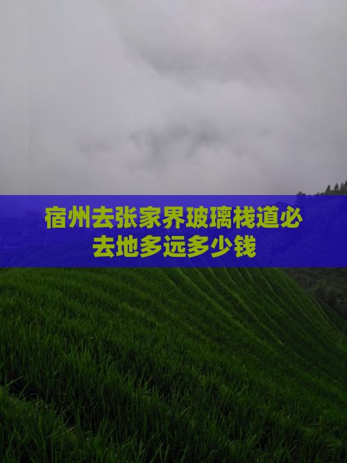 宿州去张家界玻璃栈道必去地多远多少钱