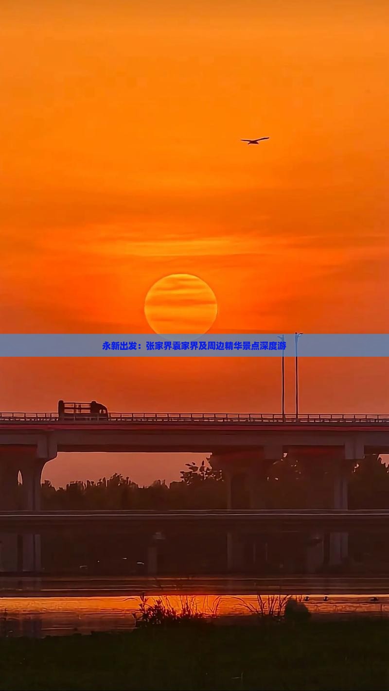 永新出发：张家界袁家界及周边精华景点深度游