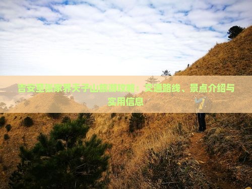 吉安至张家界天子山旅游攻略：交通路线、景点介绍与实用信息