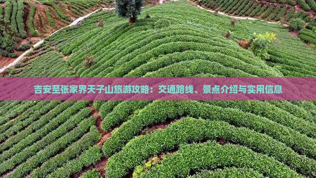 吉安至张家界天子山旅游攻略：交通路线、景点介绍与实用信息