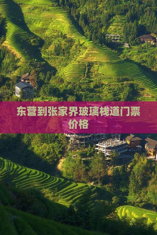 东营到张家界玻璃栈道门票价格