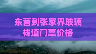 东营到张家界玻璃栈道门票价格