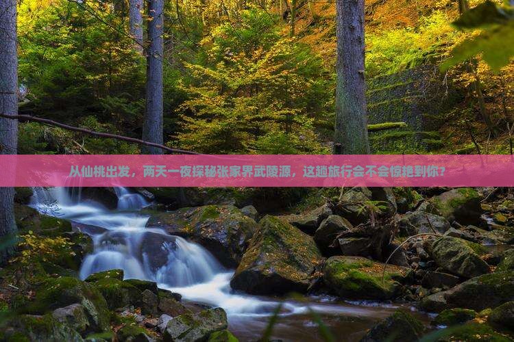 仙桃去张家界武陵源二日游
