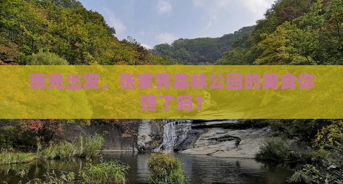 南充到张家界森林公园旅游小吃