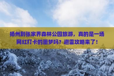 扬州到张家界森林公园旅游