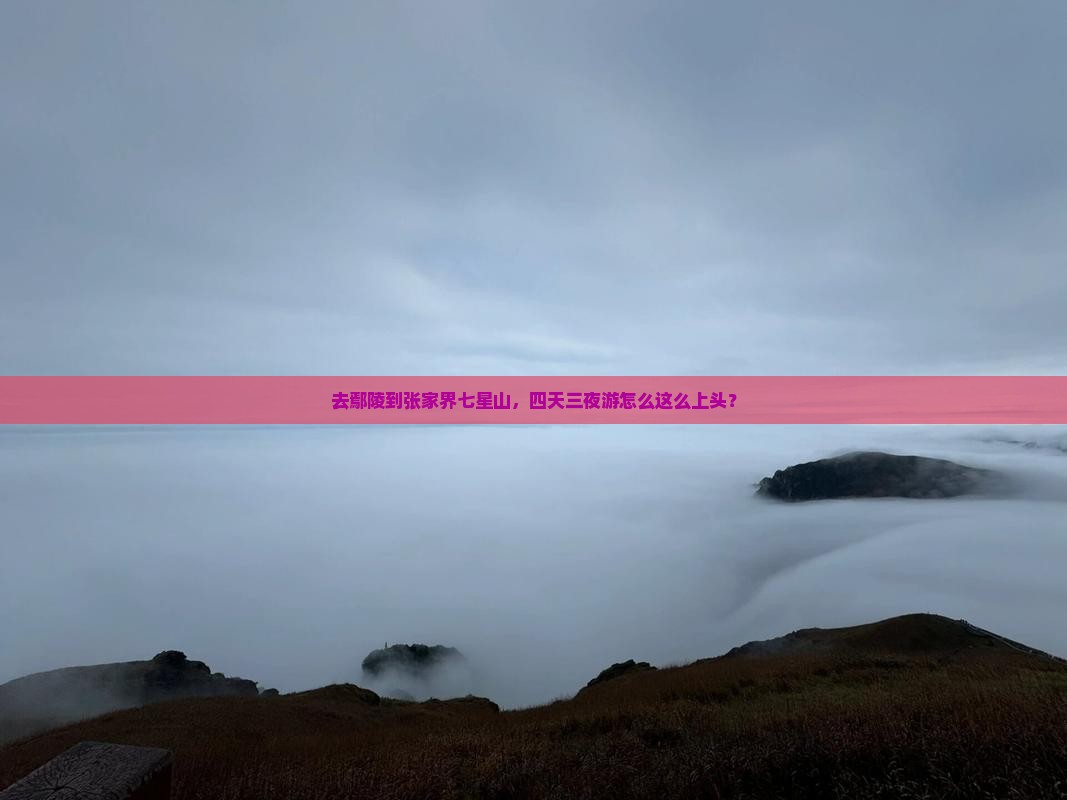 鄢陵县去张家界七星山四日游