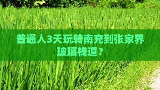 南充到张家界玻璃栈道三日游