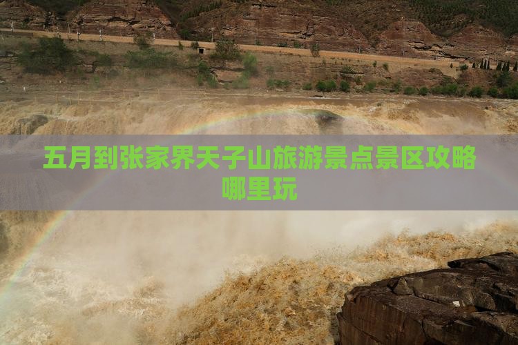 五月到张家界天子山哪里玩