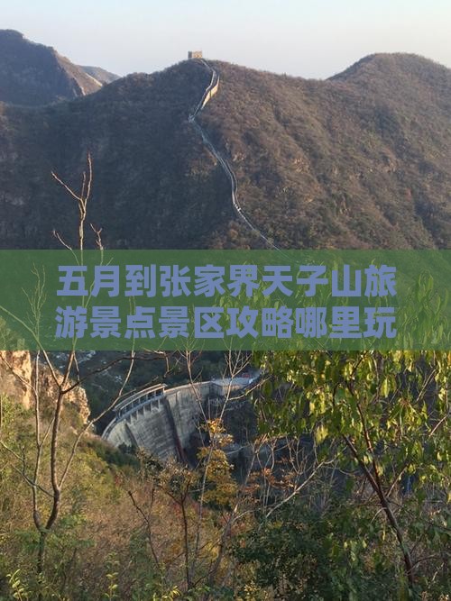 五月到张家界天子山哪里玩
