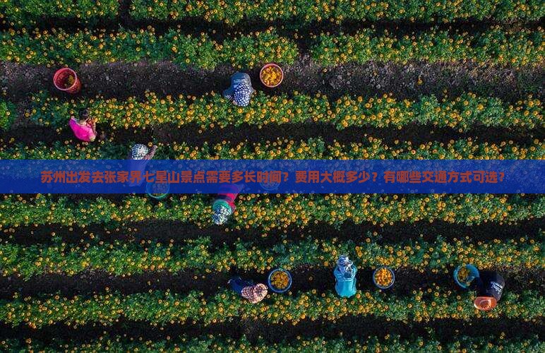 苏州去张家界七星山景点