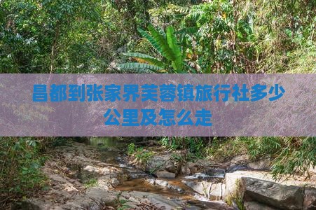 昌都到张家界芙蓉镇旅行社