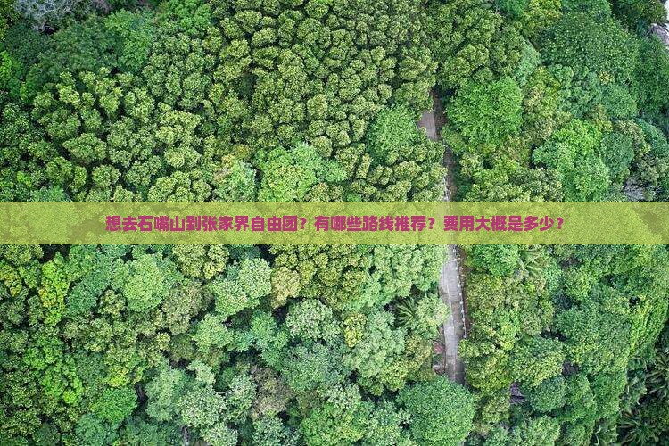 石嘴山去张家界自由团
