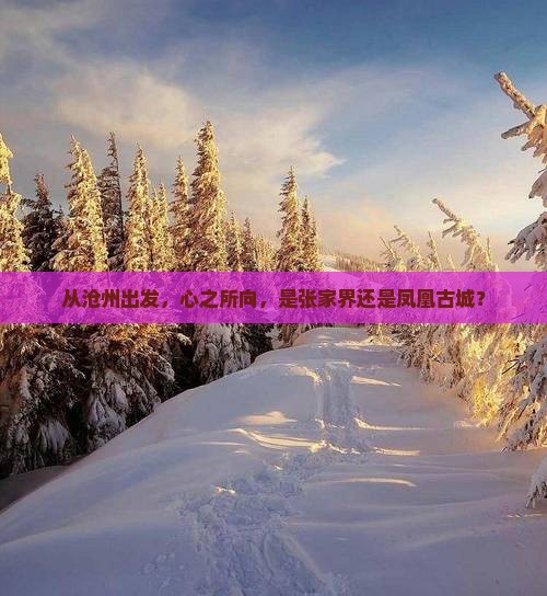 沧州到张家界凤凰古城自由行