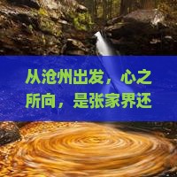 沧州到张家界凤凰古城自由行