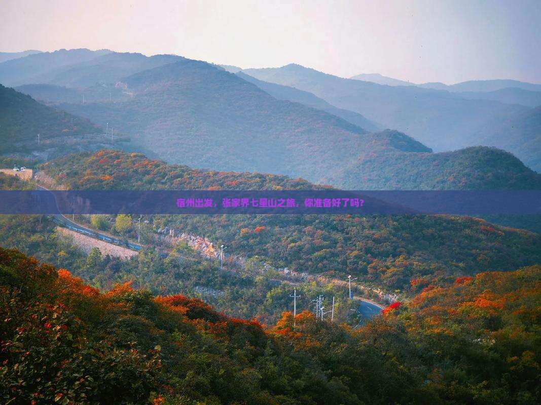宿州去张家界七星山大型旅游团