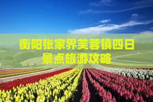 衡阳去张家界芙蓉镇四日游