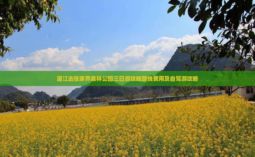 湛江去张家界森林公园三日游