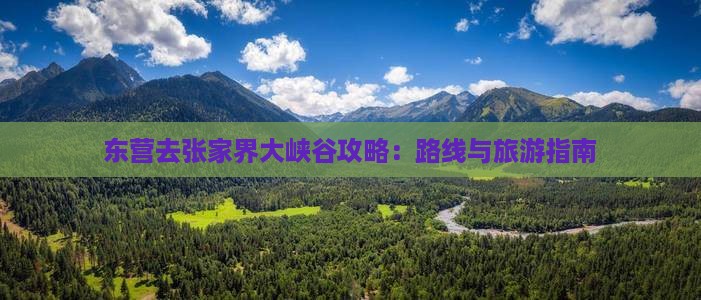 东营去张家界大峡谷哪里玩