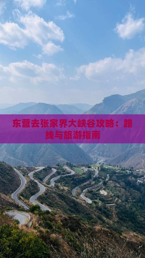 东营去张家界大峡谷哪里玩