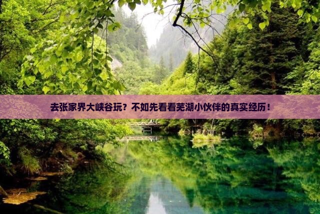芜湖去张家界大峡谷景点