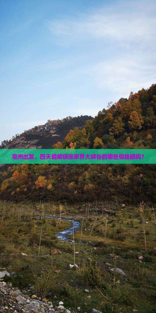亳州到张家界大峡谷四日游 亳州到张家界大峡谷四日游