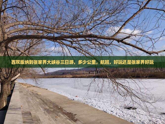 西双版纳到张家界大峡谷三日游