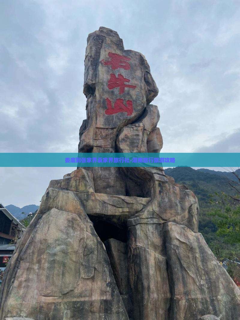 娄底到张家界袁家界旅行社