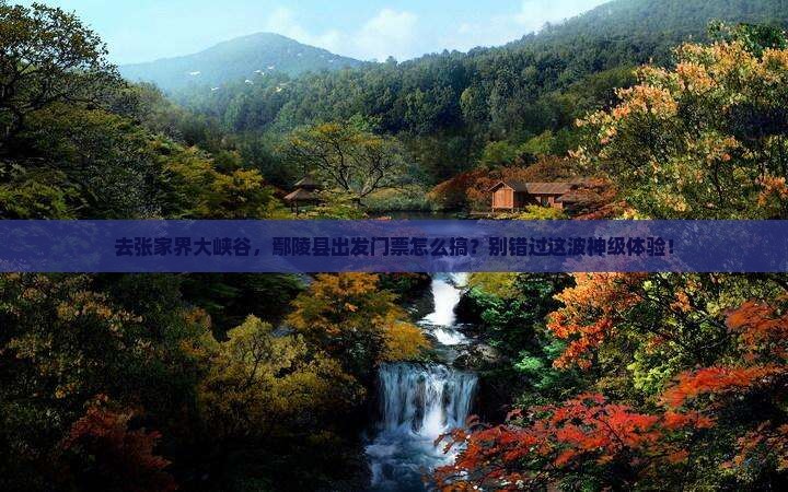 鄢陵县去张家界大峡谷门票 鄢陵县去张家界大峡谷门票