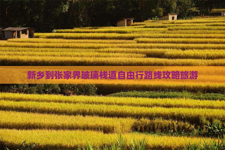 新乡到张家界玻璃栈道自由行