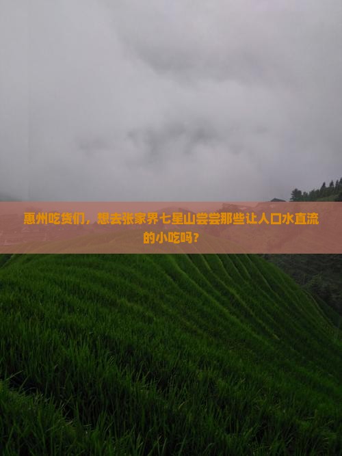 惠州去张家界七星山旅游小吃