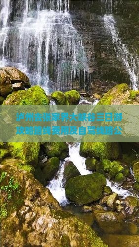泸州去张家界大峡谷三日游