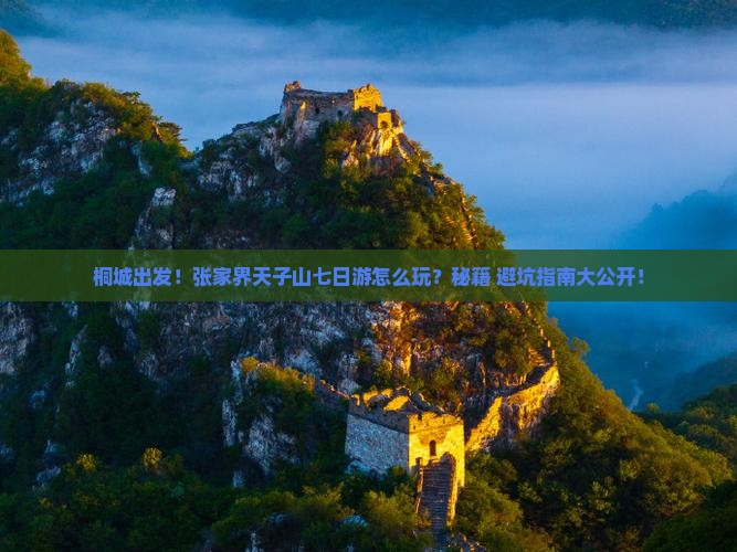桐城去张家界天子山七日游