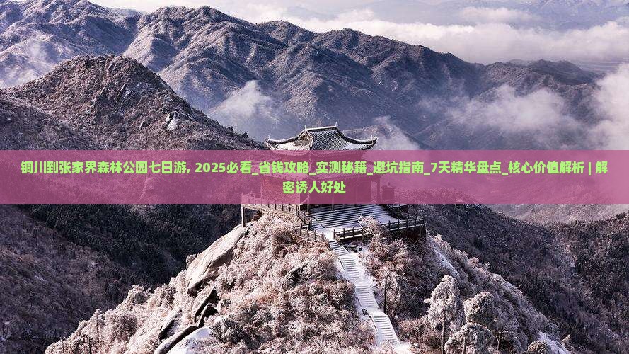 铜川到张家界森林公园七日游
