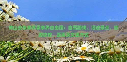 黄山去张家界袁家界自由团