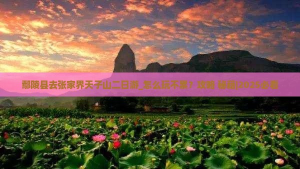 鄢陵县去张家界天子山二日游