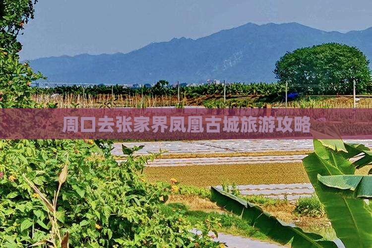 周口去张家界凤凰古城自由团