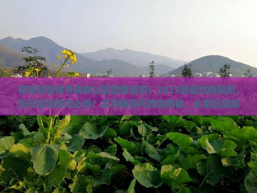 陇南到张家界森林公园团体旅游