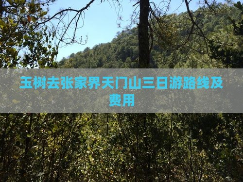 玉树去张家界天门山三日游