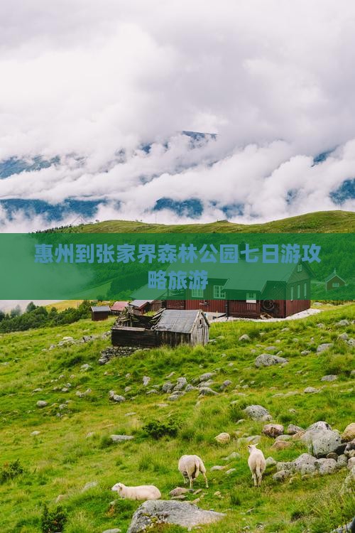 惠州到张家界森林公园七日游