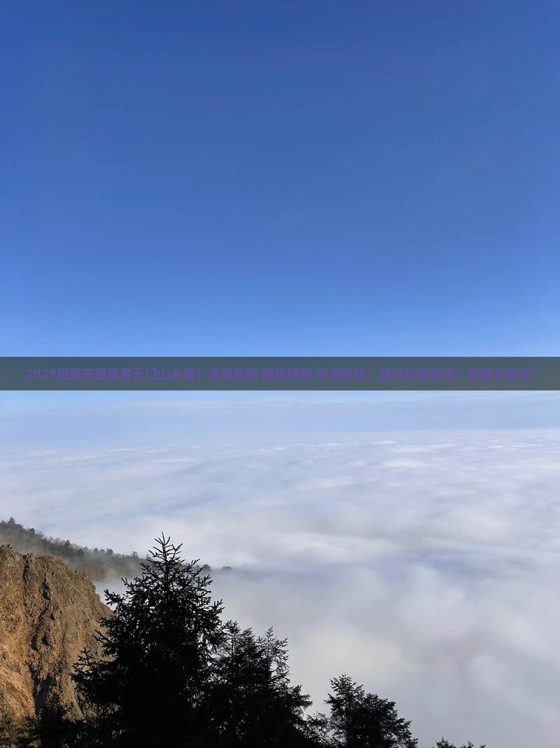 阳泉去张家界天门山旅行社