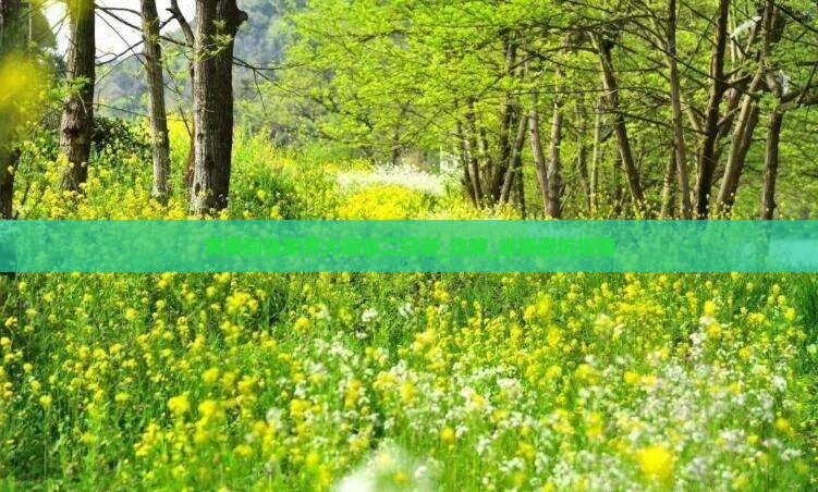 黄南到张家界大峡谷二日游