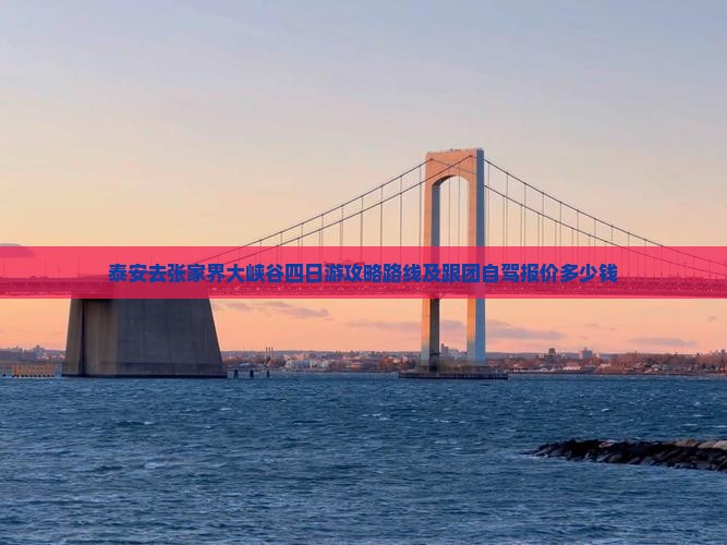 泰安去张家界大峡谷四日游