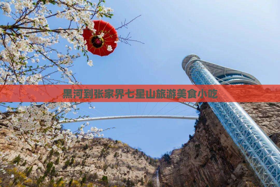 黑河到张家界七星山旅游小吃