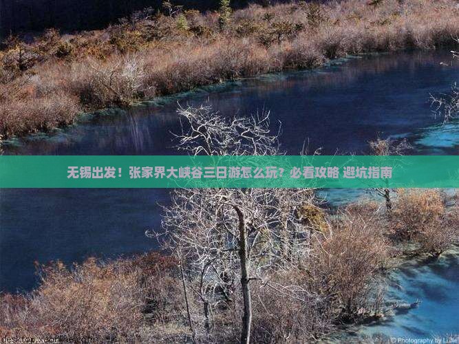 无锡到张家界大峡谷三日游